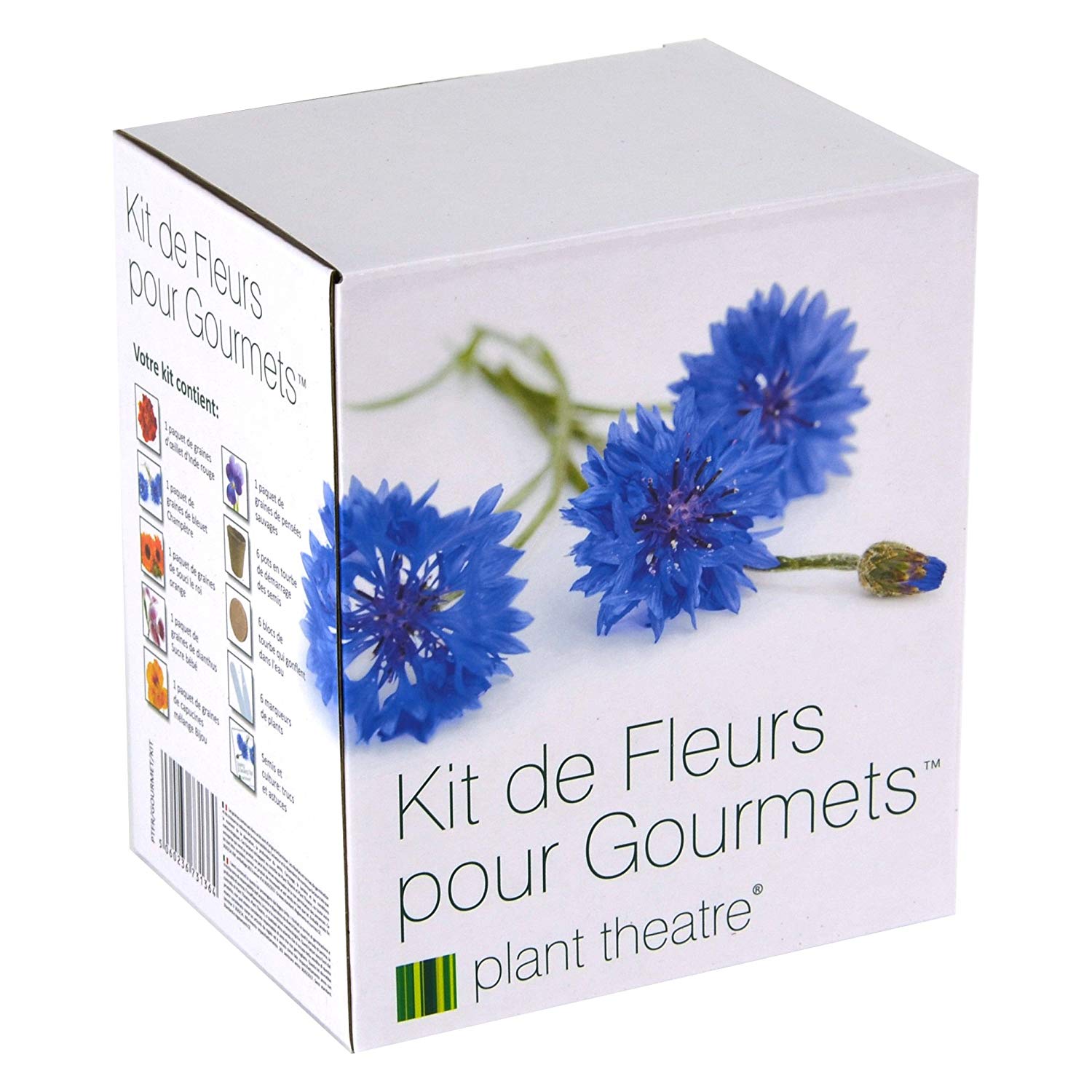 kit fleurs comestibles